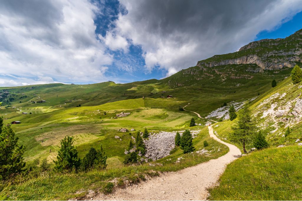 a path in the mountains, aride landscape with small grass and rocks