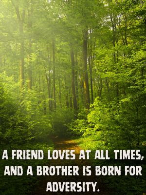 Bible quote: A friend loves at all times, and a brother is born for adversity.