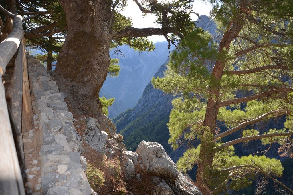 view from the hiking path of Samaria Gorge, Chania, Crete - a tree trunk near the fall
