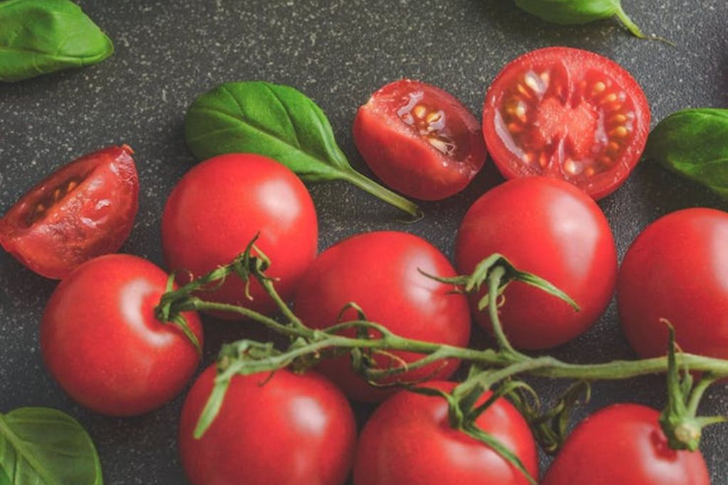 fresh cherry tomatoes with basil leaves