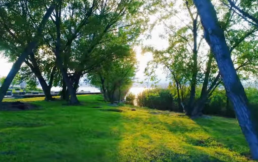 Spiaggia Brema sea and beach among the trees