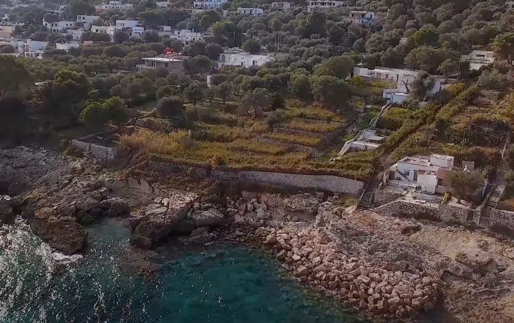 rocky shore with a few houses, olive groves - aerial view