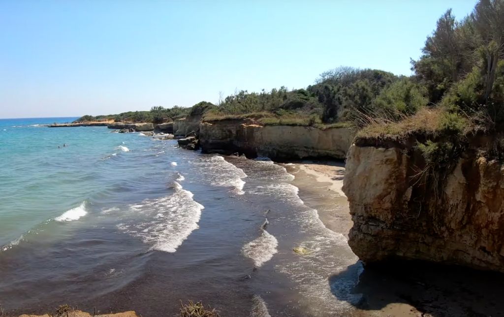 waves on a beach, tall shore with bushes on it
