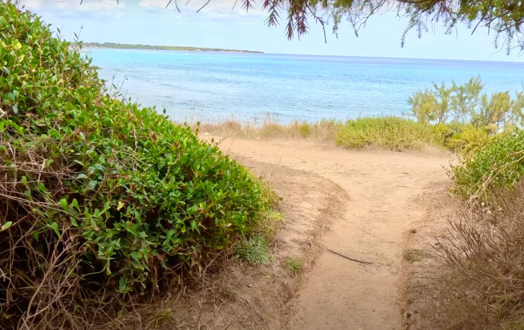 dirt road, bushes on its left, a tree on its right, sea in the front