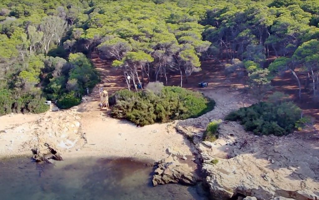 calm gulf and a stony beach near a pine grove