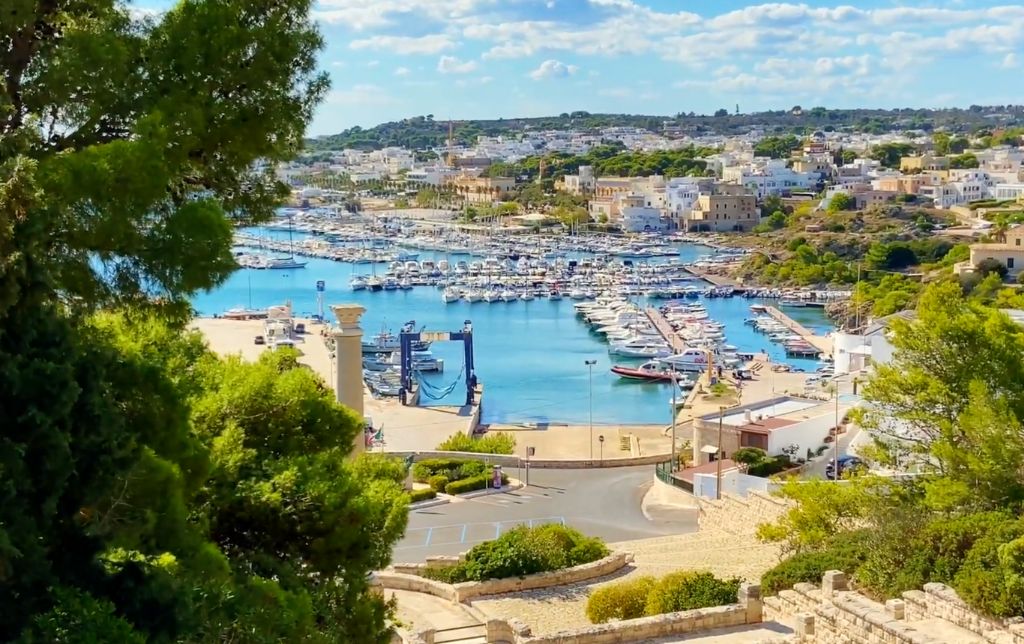 view from the top of the hill of a big gulf full of boats and the village beside it