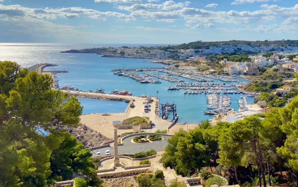 view from the top of the hill of a big gulf full of boats and the village beside it