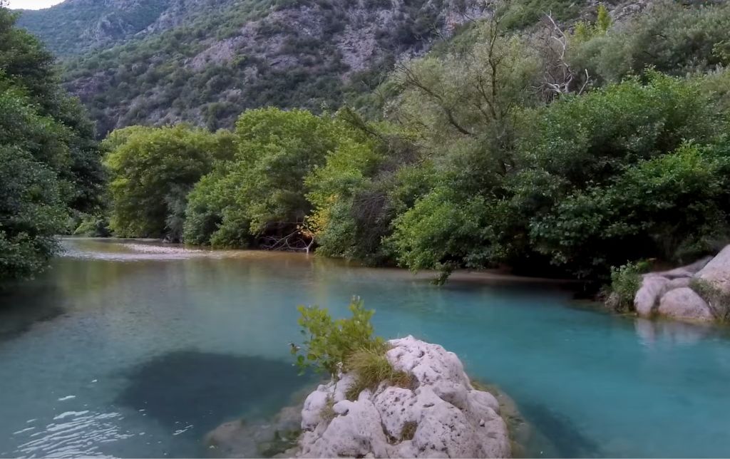 trees on the shores of a river, a stone in its middle