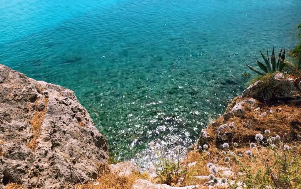 green stony shore with dry vegetation