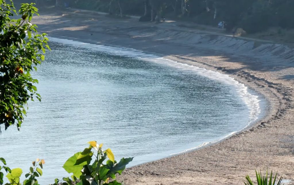 small gulf with grey sand and a tree