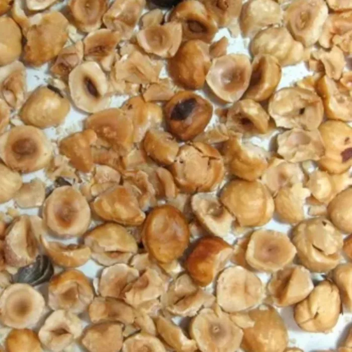 roasted hazelnuts